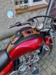 IMG-20250812-WA0012